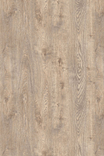 Невадский дуб-7249 гр.d1