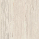 Сосна Астрид 5424