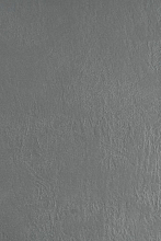 Пьетро Ардженто-1479 гр.d2