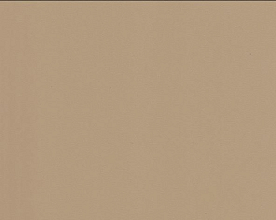 кромка Камель U204 ST9