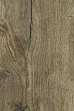 Честерский дуб-8716 гр.d2