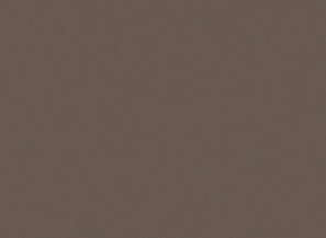 кромка Трюфель коричневый U748 ST9